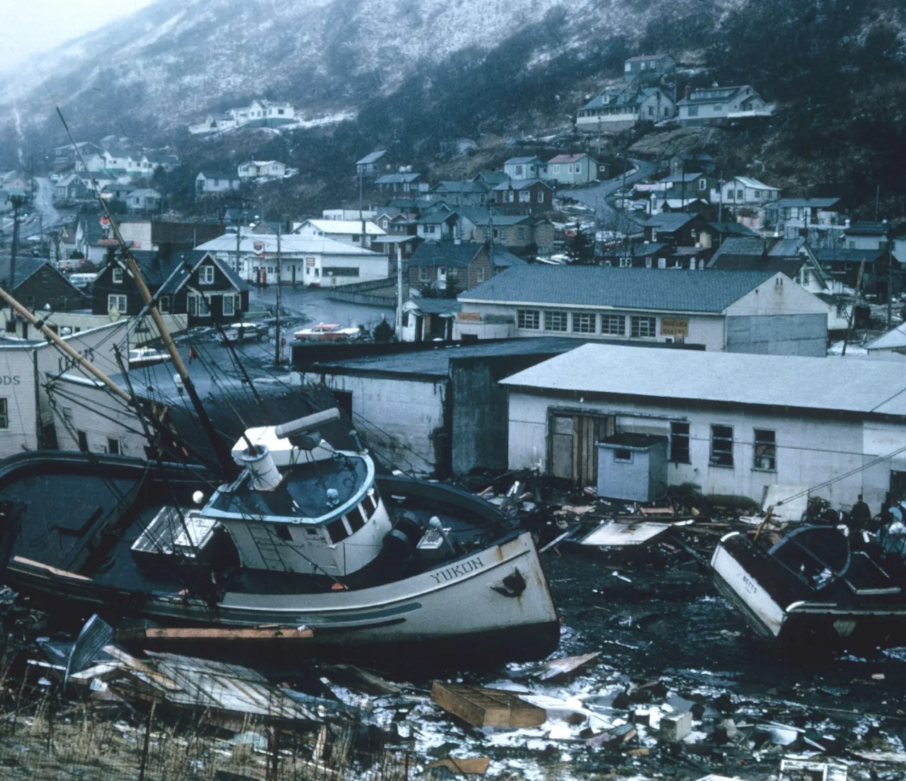 Earthquake and tsunami disaster prevention field