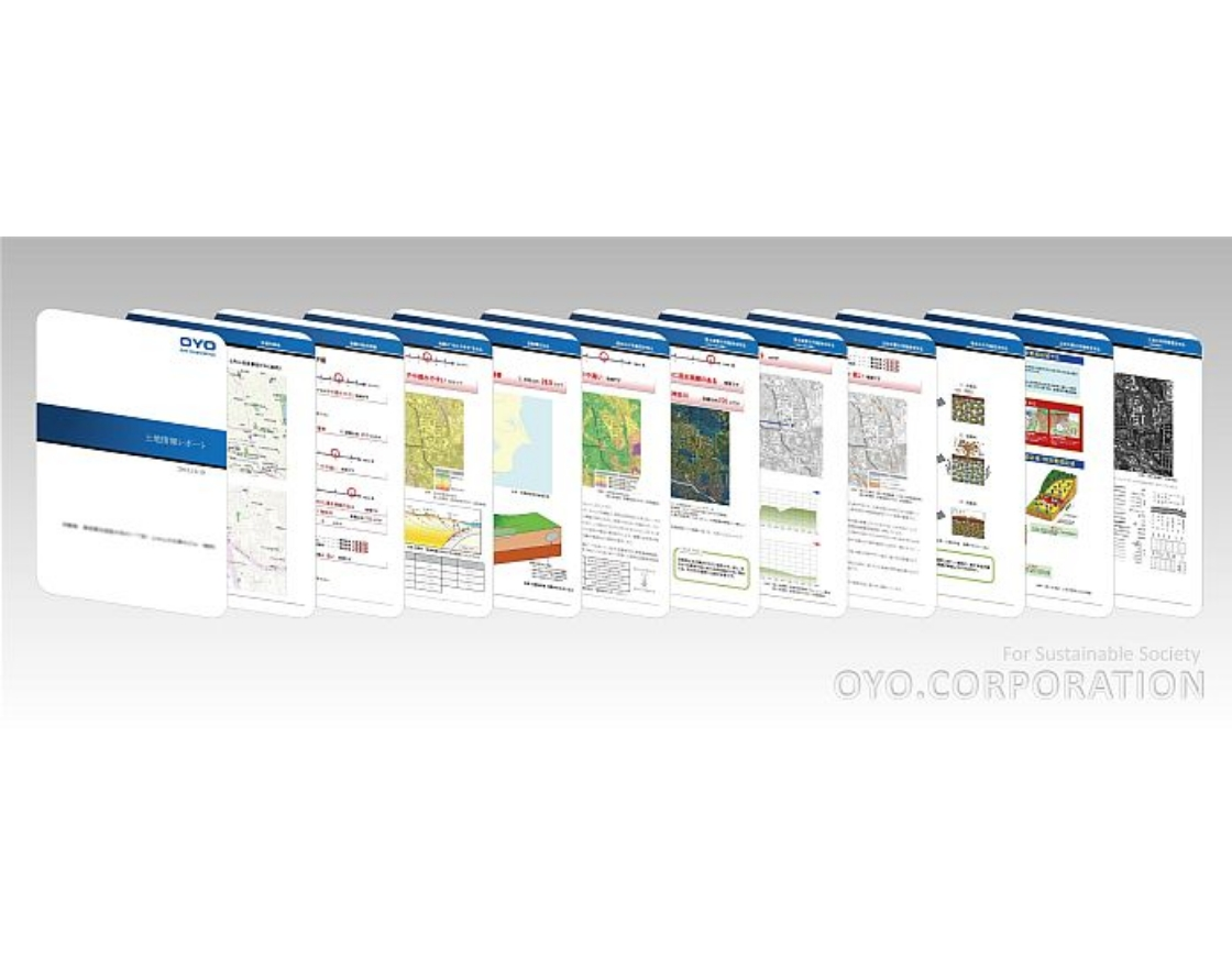 Provides information on ground and natural disaster risks in one report