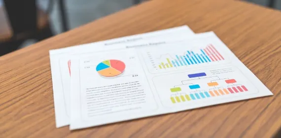 Business Portfolio