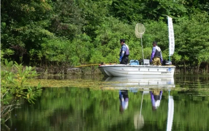 電気ショッカー船での外来魚の生態調査・管理